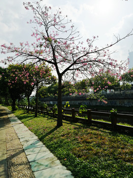 深圳羅湖洪湖公園