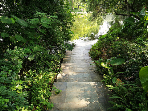 公園道路