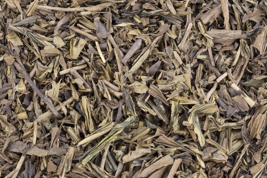 烤日本綠茶