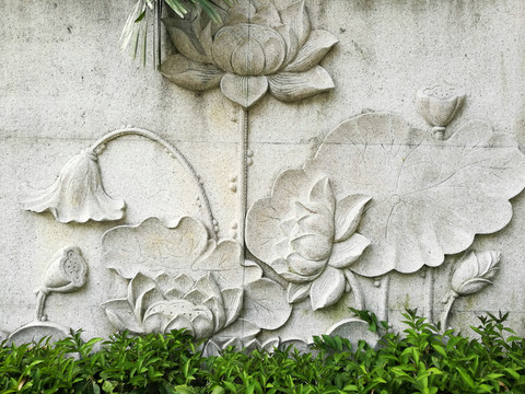蓮花荷葉