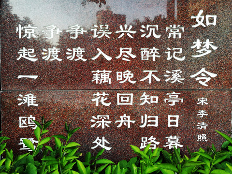 贊美荷花古詩(shī)如夢(mèng)令