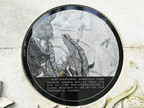 蓮花石刻