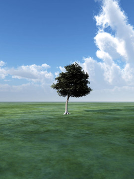 Tree In Green景觀
