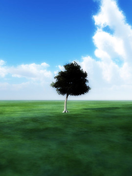 Tree In Green景觀