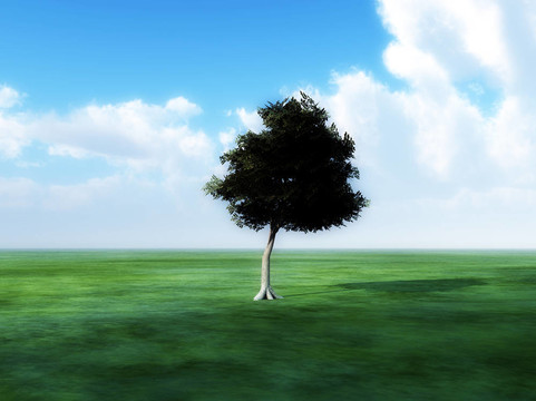 Tree In Green景觀