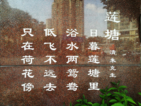 荷花古詩蓮塘
