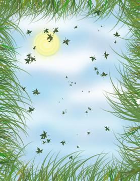 起風(fēng)的天空