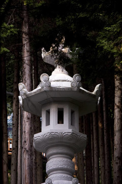 寺