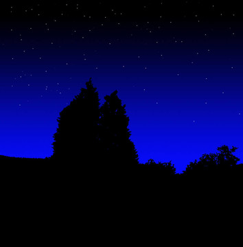 夜晚的樹剪影