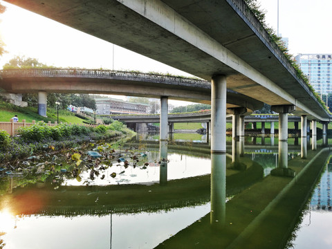 深圳洪湖公園風(fēng)景