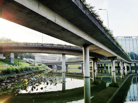 深圳羅湖洪湖公園風(fēng)景