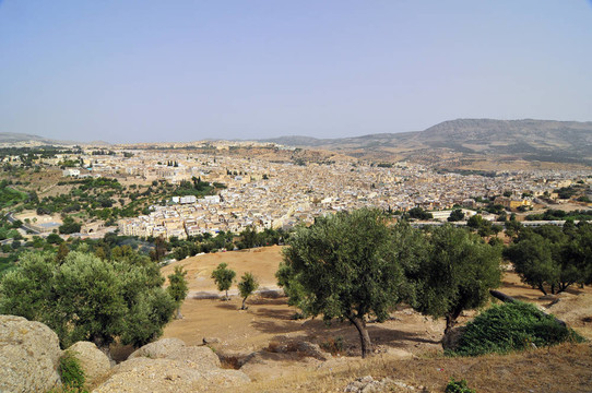 Fes市