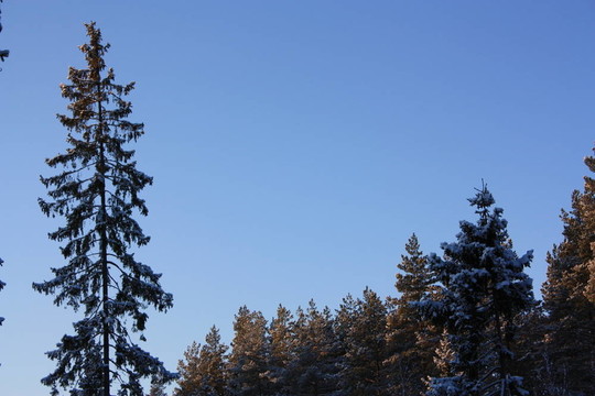 冬天的藍(lán)色天空