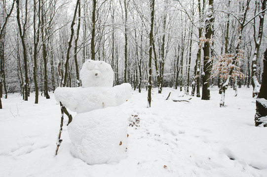 森林里的雪人