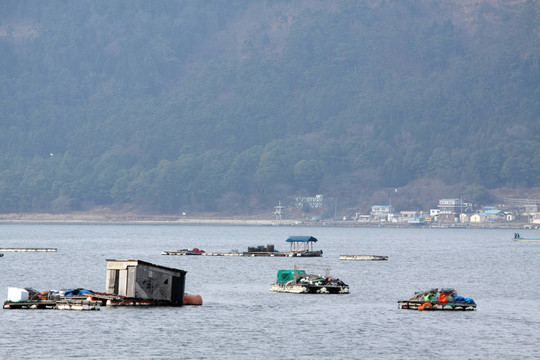 釣魚