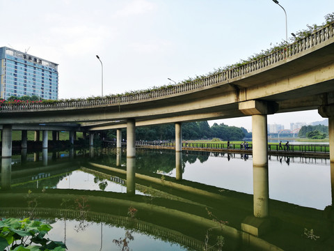 深圳羅湖洪湖公園