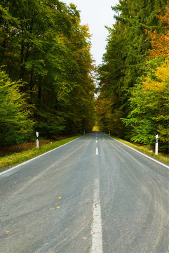 秋季道路