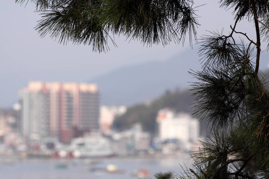鎮(zhèn)海