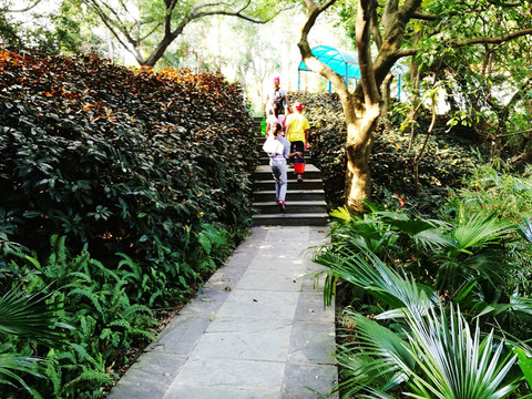 深圳羅湖洪湖公園