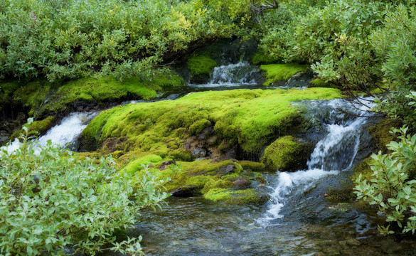 美麗的風(fēng)景