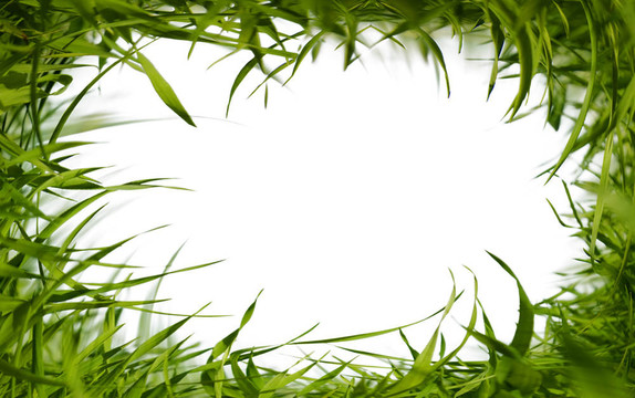 綠色的草架