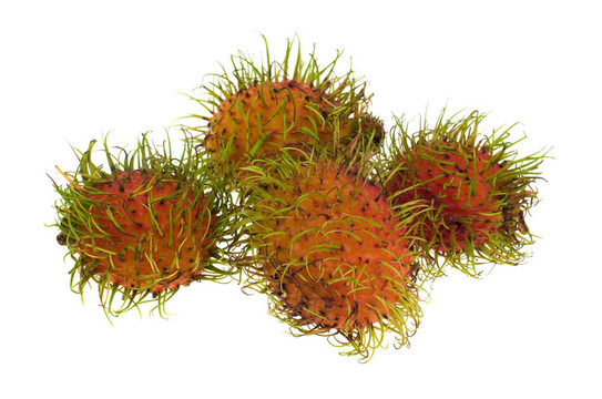 新鮮紅毛丹