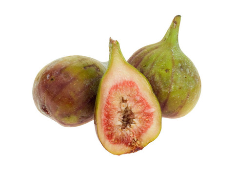 孤立的無花果