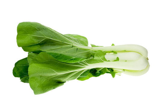 新鮮的青菜