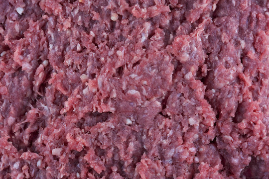 地面的野牛（Buffalo）肉