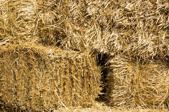Straw Bale的背景