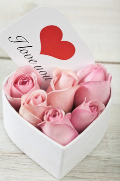 粉薔薇