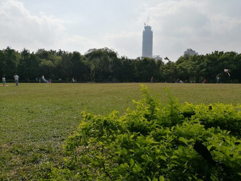 深圳羅湖洪湖公園美景