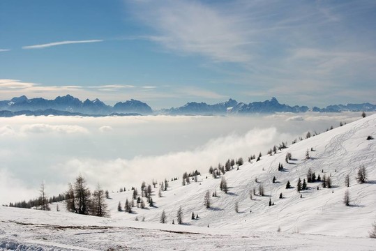 山
