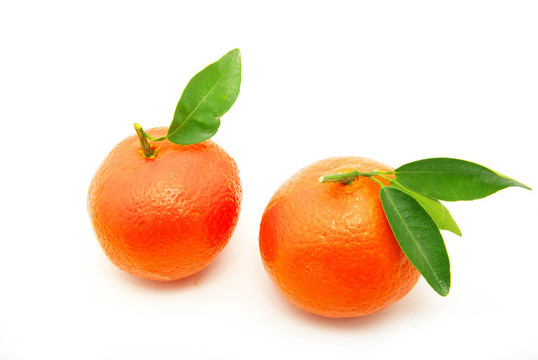 Tangerine夜店