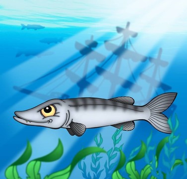 梭魚與沉船