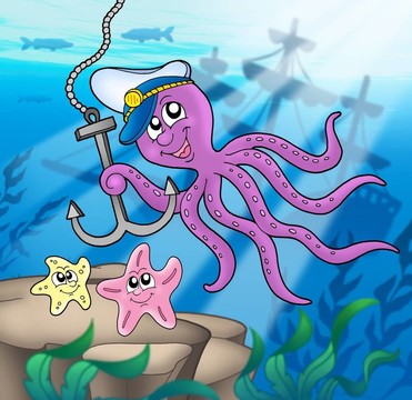 錨和海星章魚