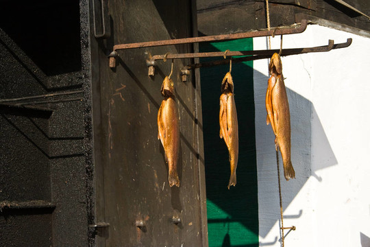 腌熏三文魚鱒魚