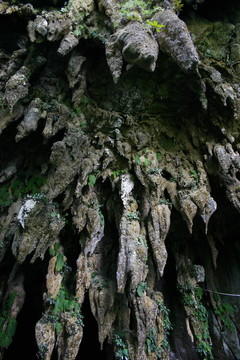 姆魯國家公園