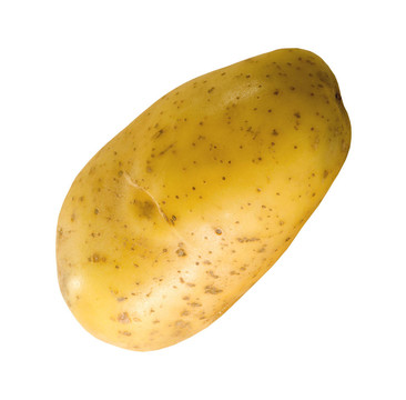 大新鮮馬鈴薯