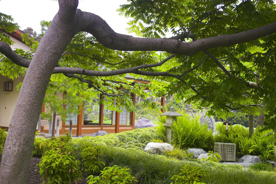日本式庭園