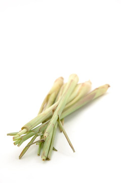 檸檬草