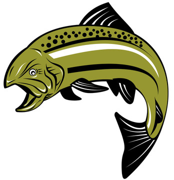 斑點(diǎn)鱒魚
