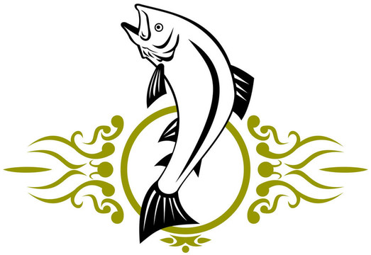 鱒魚跳躍