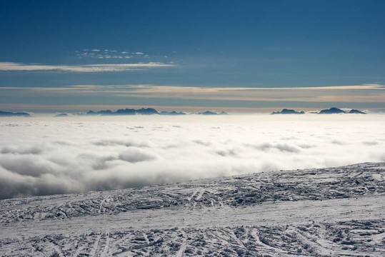 山