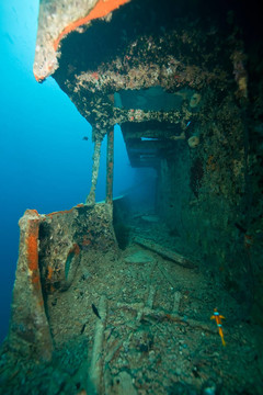 右舷舷梯的Thistlegorm