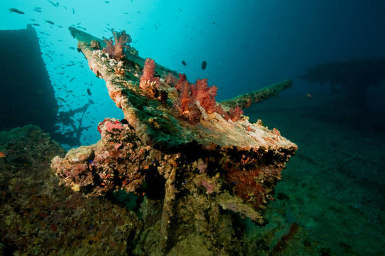 輕高射炮在thistlegorm