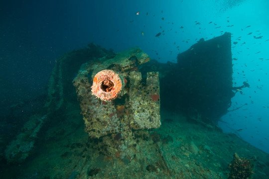 輕高射炮在thistlegorm