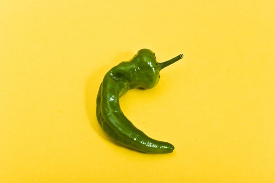 青椒