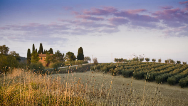 托斯卡納景觀。Val D Orcia；托斯卡納；意大利。