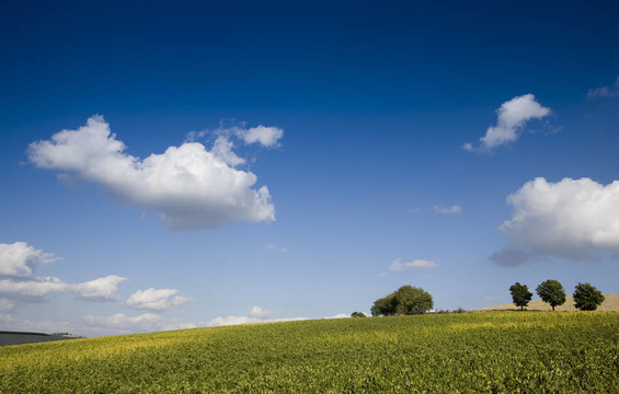 托斯卡納景觀。Val D Orcia；托斯卡納；意大利。